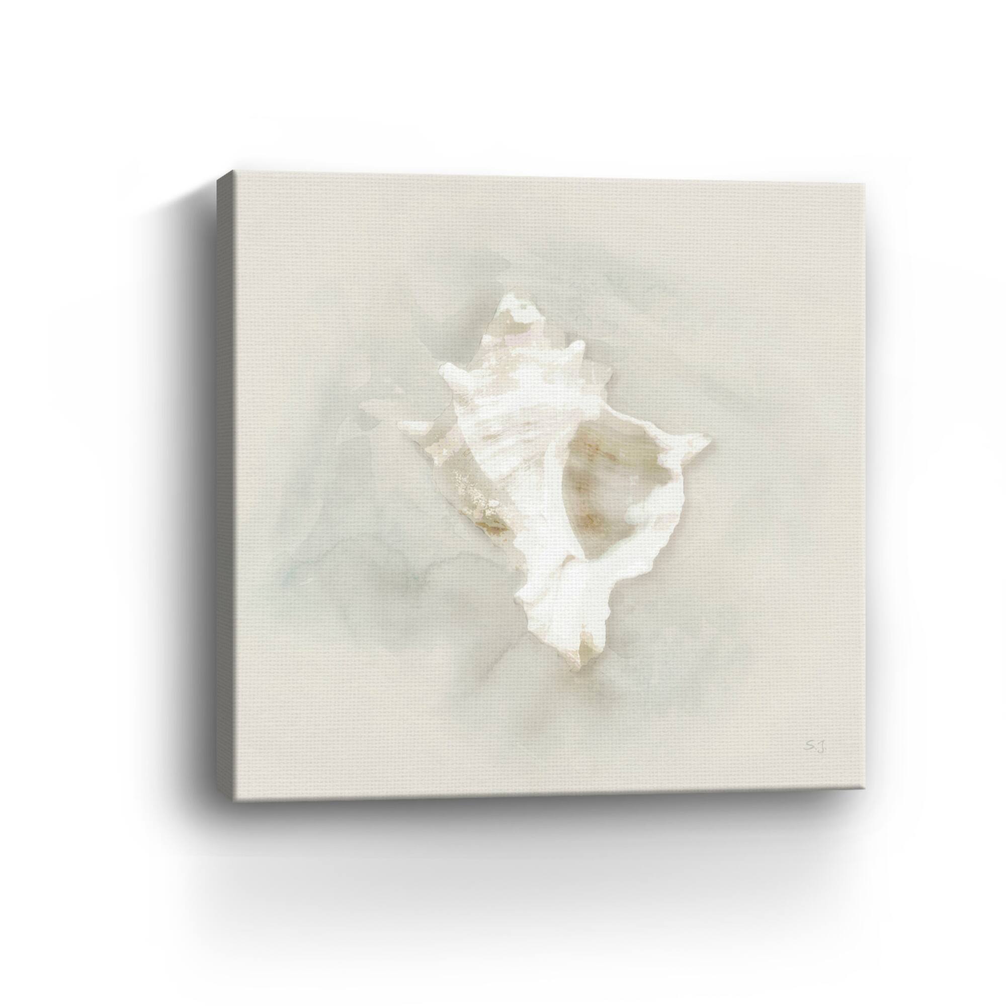 Soft Sand and Shell I Canvas Giclee